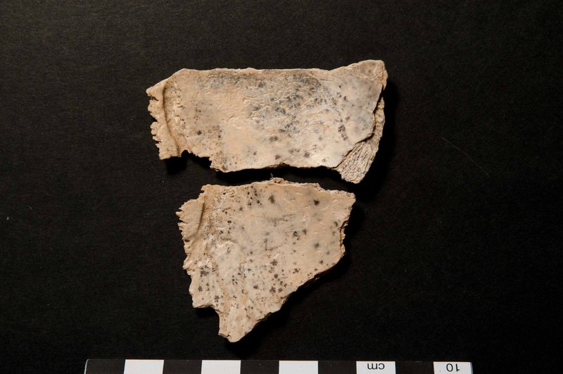 Cannibalism In Prehistoric Archaeological Evidence