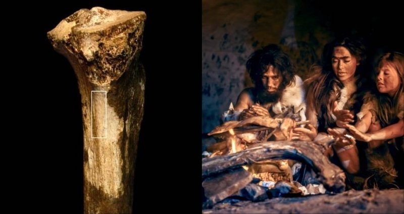 Cannibalism In Prehistoric Archaeological Evidence
