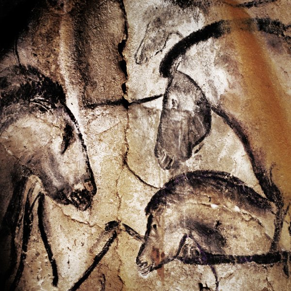 Cave Paintings Of Chauvet And Lascaux