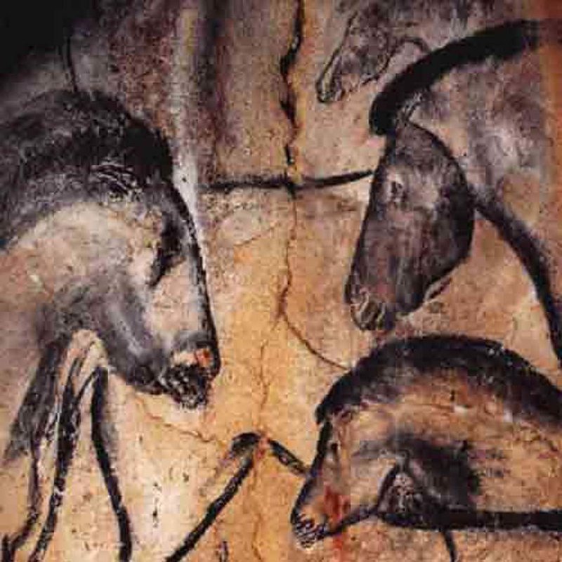 Cave Paintings Of Chauvet And Lascaux<span class=