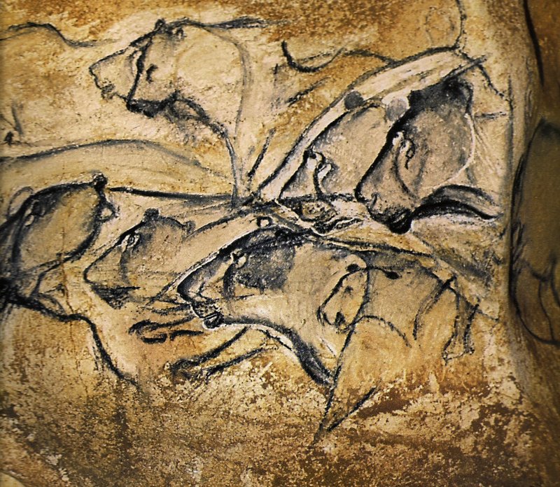 Cave Paintings Of Chauvet And Lascaux
