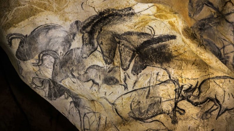 Cave Paintings Of Chauvet And Lascaux