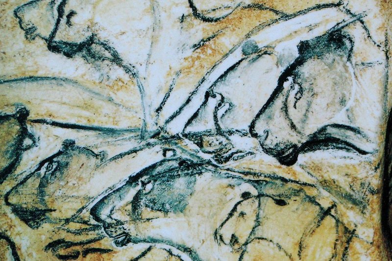 Cave Paintings Of Chauvet And Lascaux