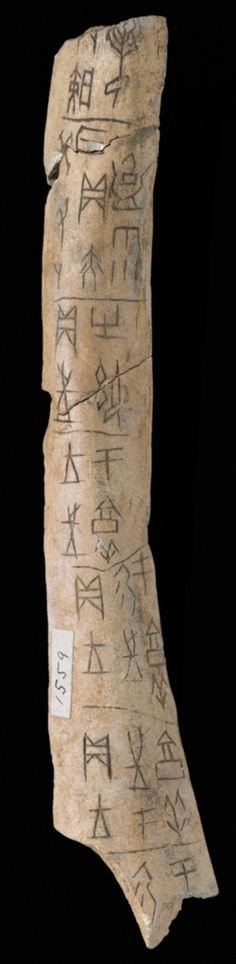 Chinese Oracle Bone Pictographs