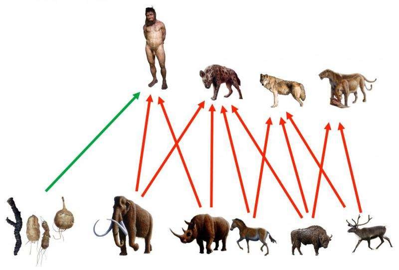 Dietary Habits Of Neanderthals<span class=