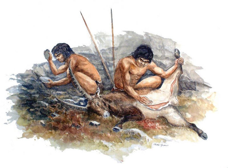 Dietary Habits Of Neanderthals