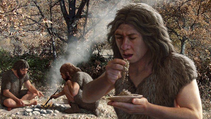 Dietary Habits Of Neanderthals