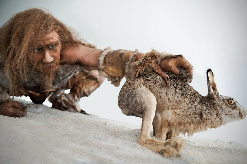 Dietary Habits Of Neanderthals