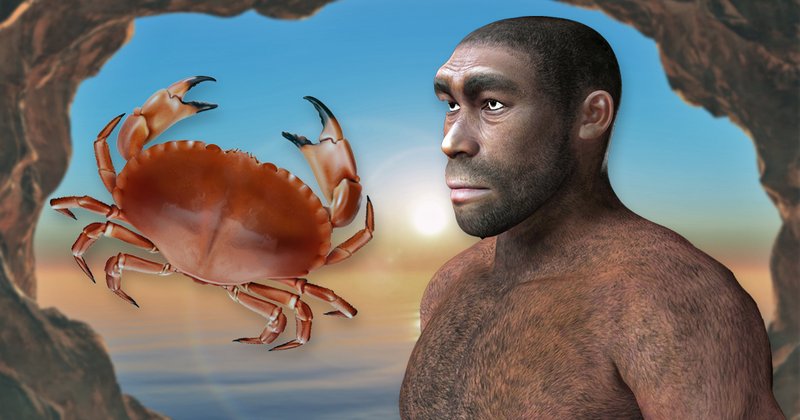 Dietary Habits Of Neanderthals