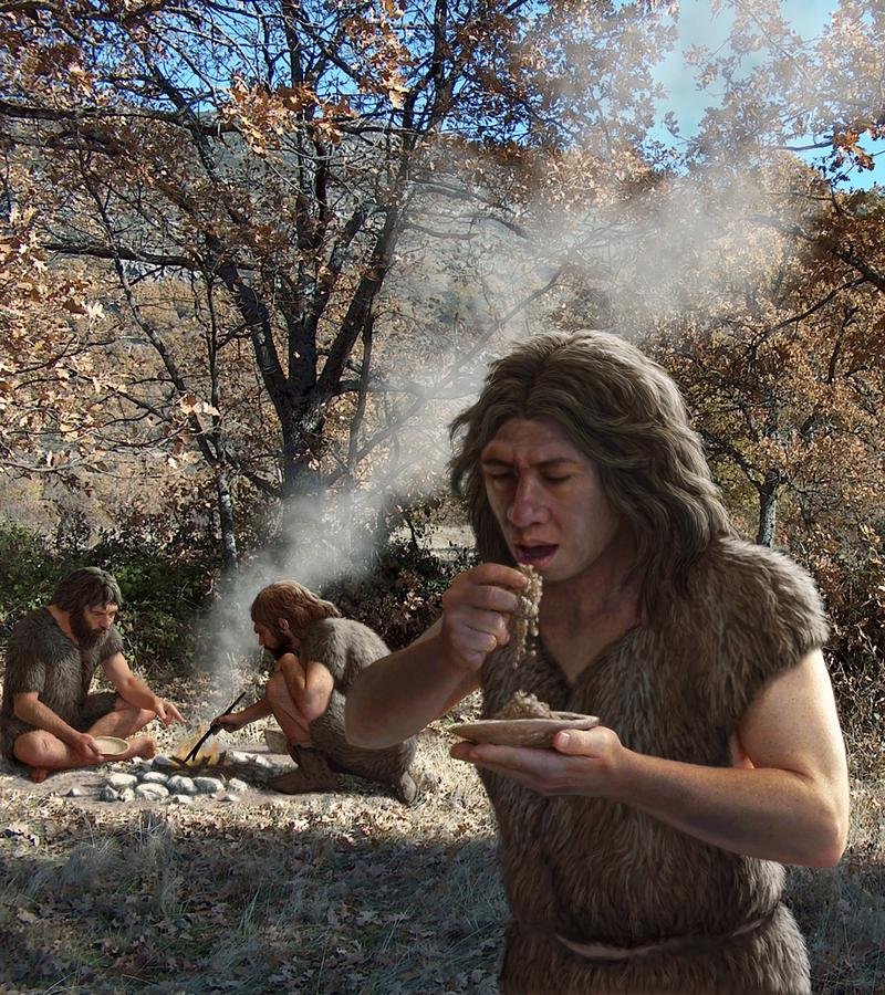 Dietary Habits Of Neanderthals