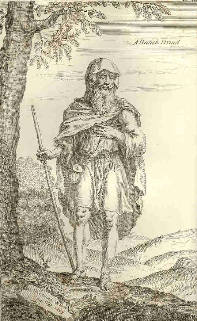 Druidic Practices In Iron Age Britain