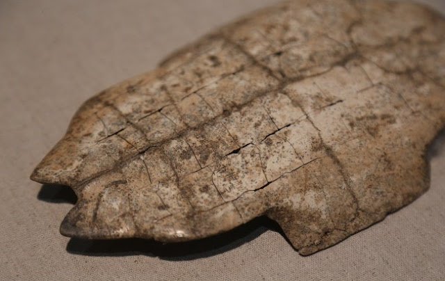 Early Chinese Oracle Bone Inscriptions