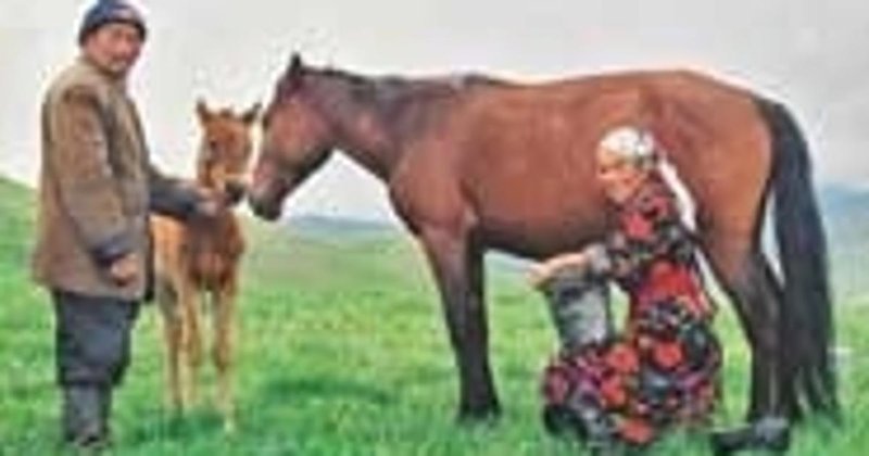 Early Domestication Of Horses In The Steppe