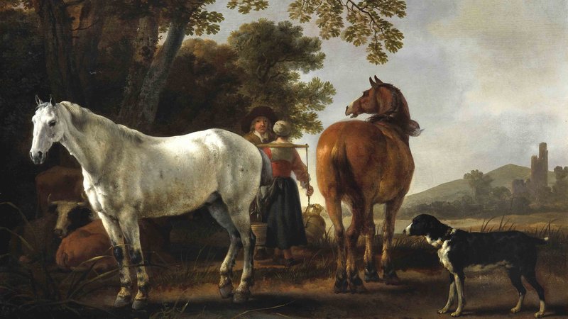 Early Domestication Of Horses In The Steppe