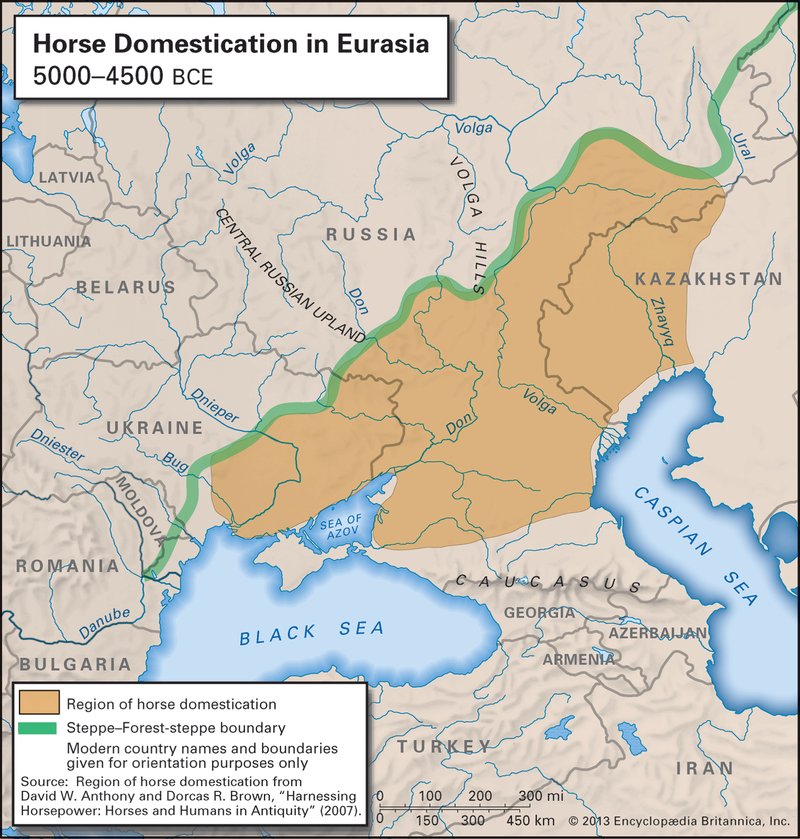 Early Domestication Of Horses In The Steppe