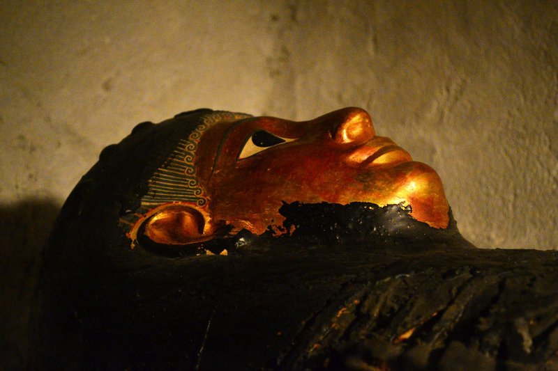 Egyptian Mummy In Sarcophagus