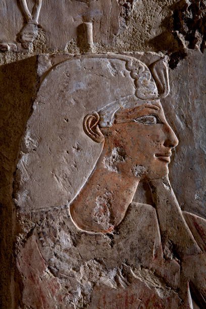 Egyptian Temple Of Hatshepsut Reliefs