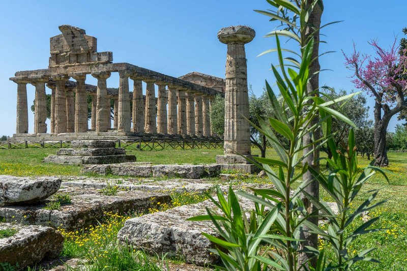 Greek Temple Ruins In Paestum