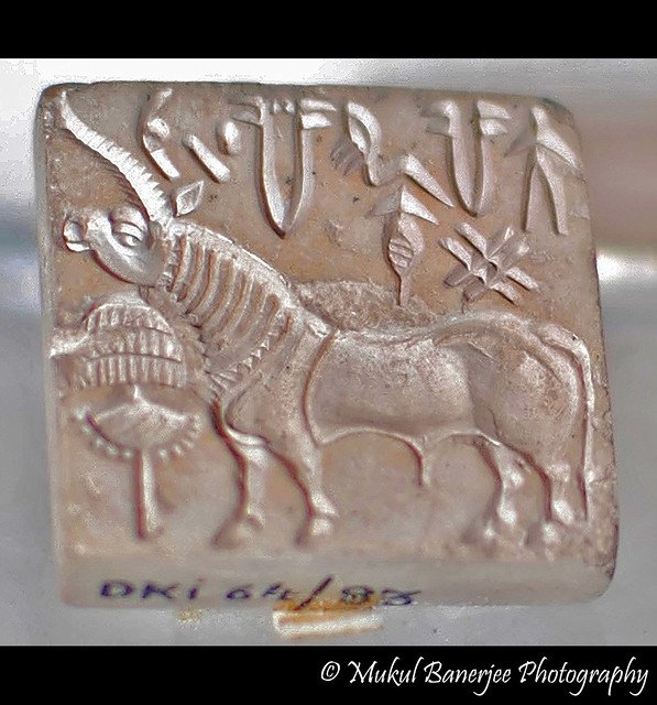 Harappan Seal With Unicorn Motif