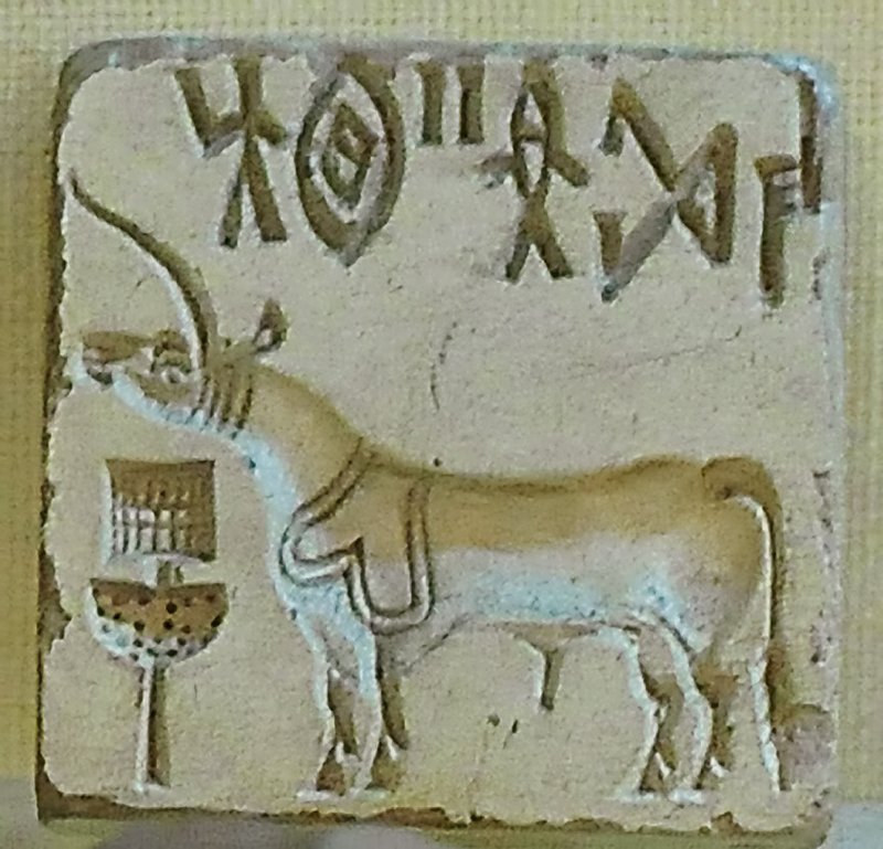 Harappan Seal With Unicorn Motif