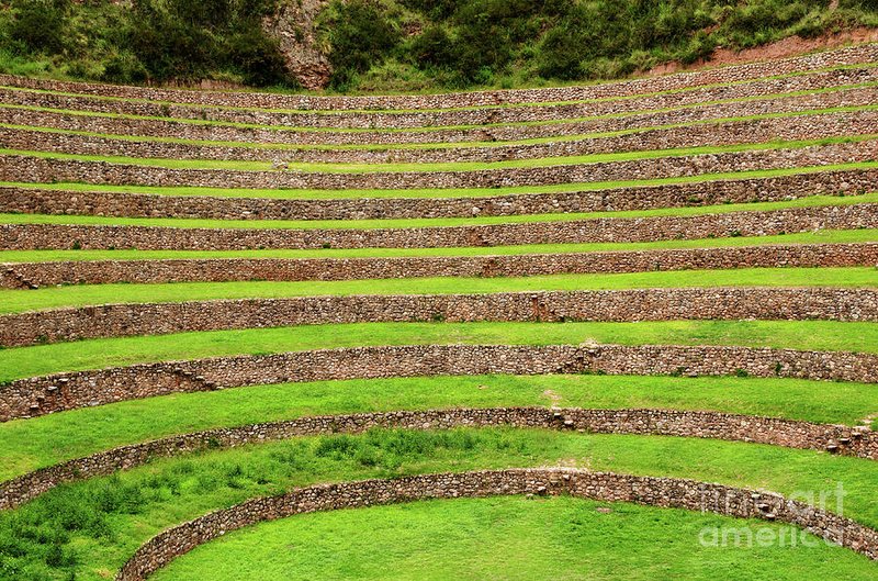 Inca Agricultural Terraces In Moray