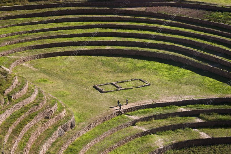 Inca Agricultural Terraces In Moray