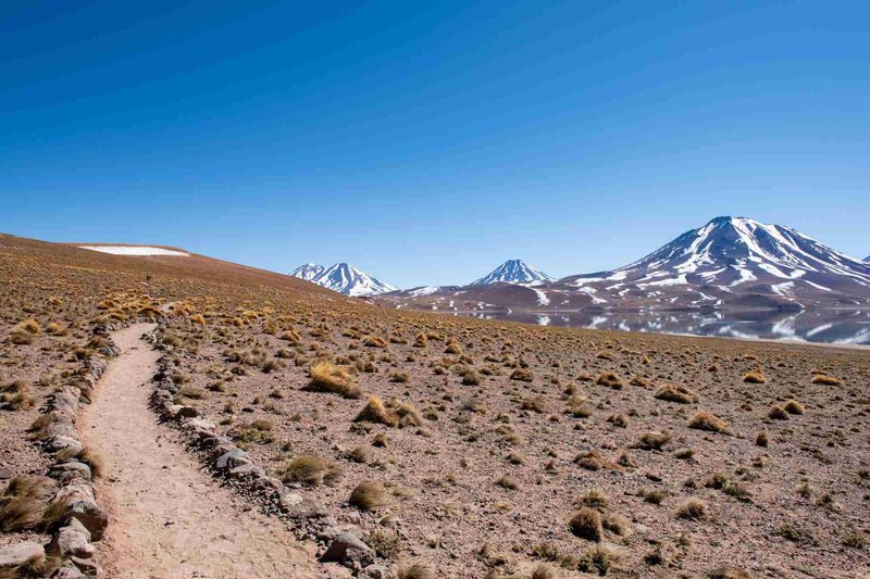 Inca Road Network Map