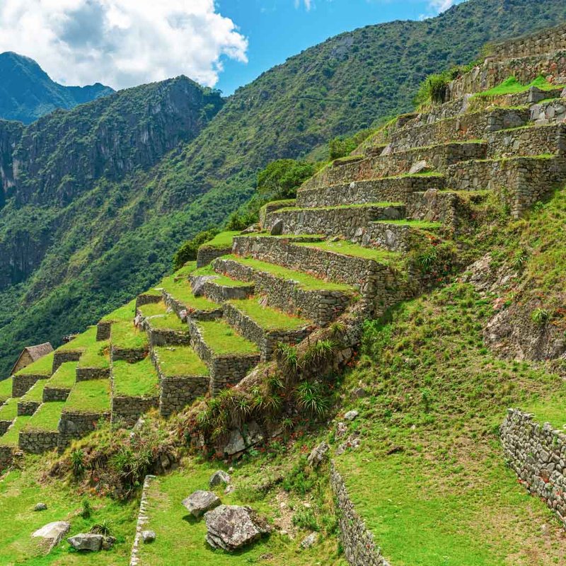 Inca Terraced Farming System