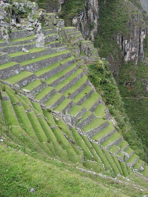 Inca Terraced Farming System