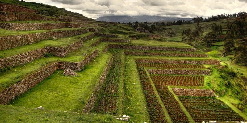 Inca Terraced Farming System