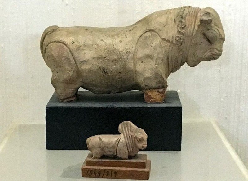 Indus Valley Bull Figurines