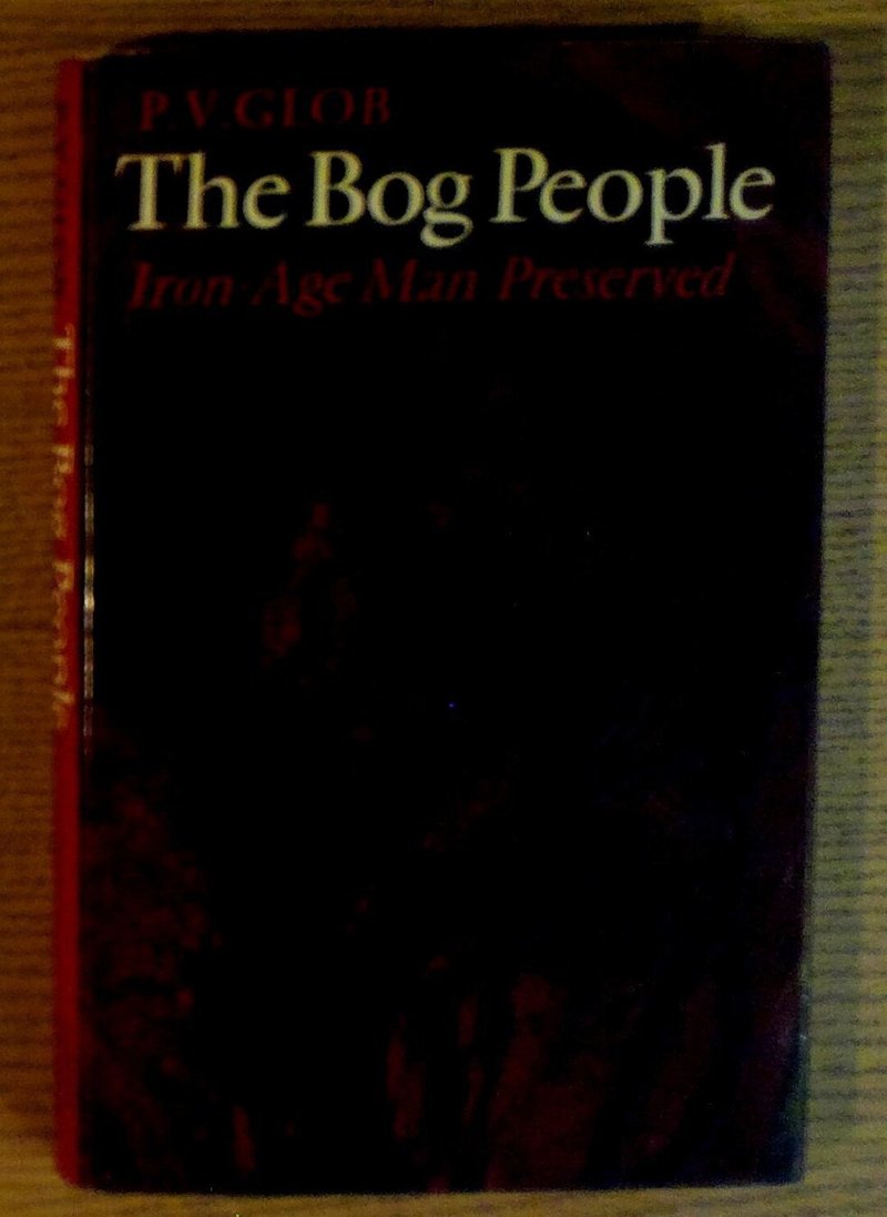 Iron Age Bog Body Preservation