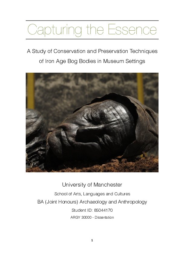 Iron Age Bog Body Preservation