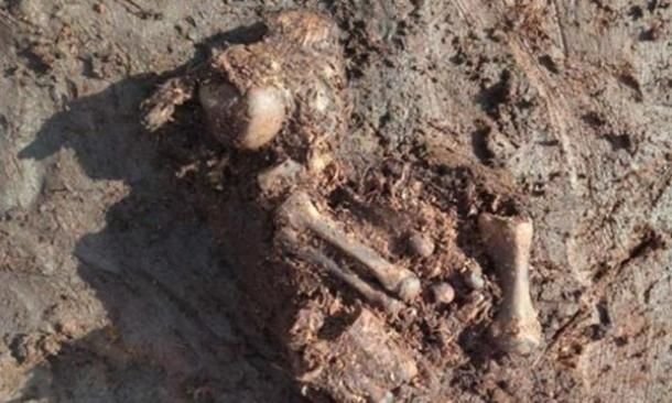 Iron Age Bog Body Preservation