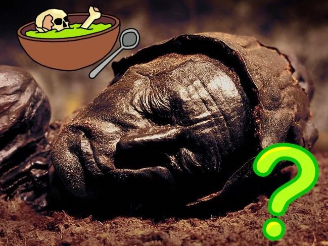 Iron Age Bog Body Preservation
