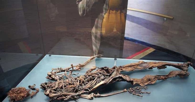 Iron Age Bog Body Preservation