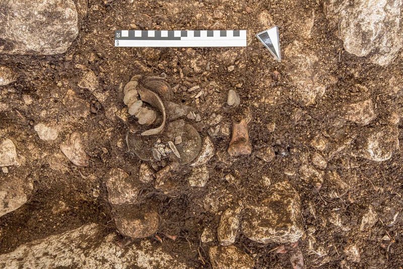 Iron Age Cart Burial From Hallstatt