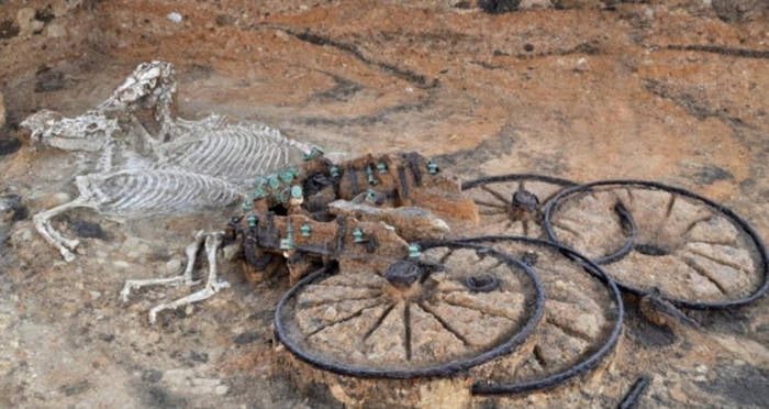 Iron Age Chariot Burial Reconstruction