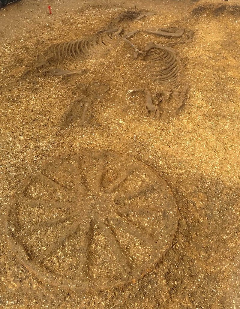 Iron Age Chariot Burial Reconstruction
