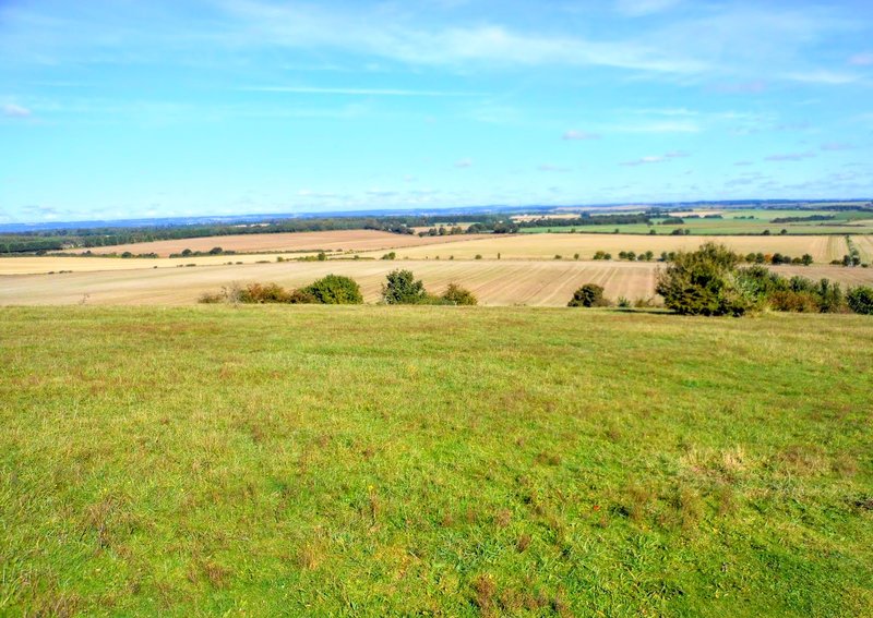 Iron Age Hillfort At Danebury
