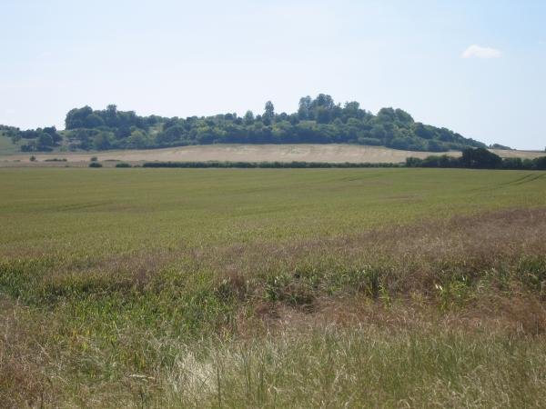 Iron Age Hillfort At Danebury