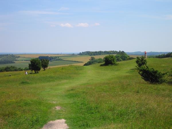 Iron Age Hillfort At Danebury