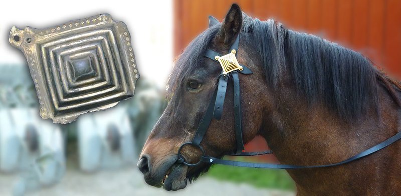 Iron Age Horse Bit And Tack