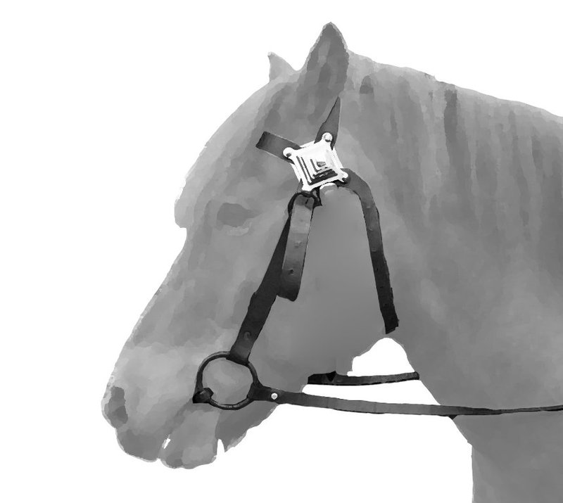 Iron Age Horse Bit And Tack
