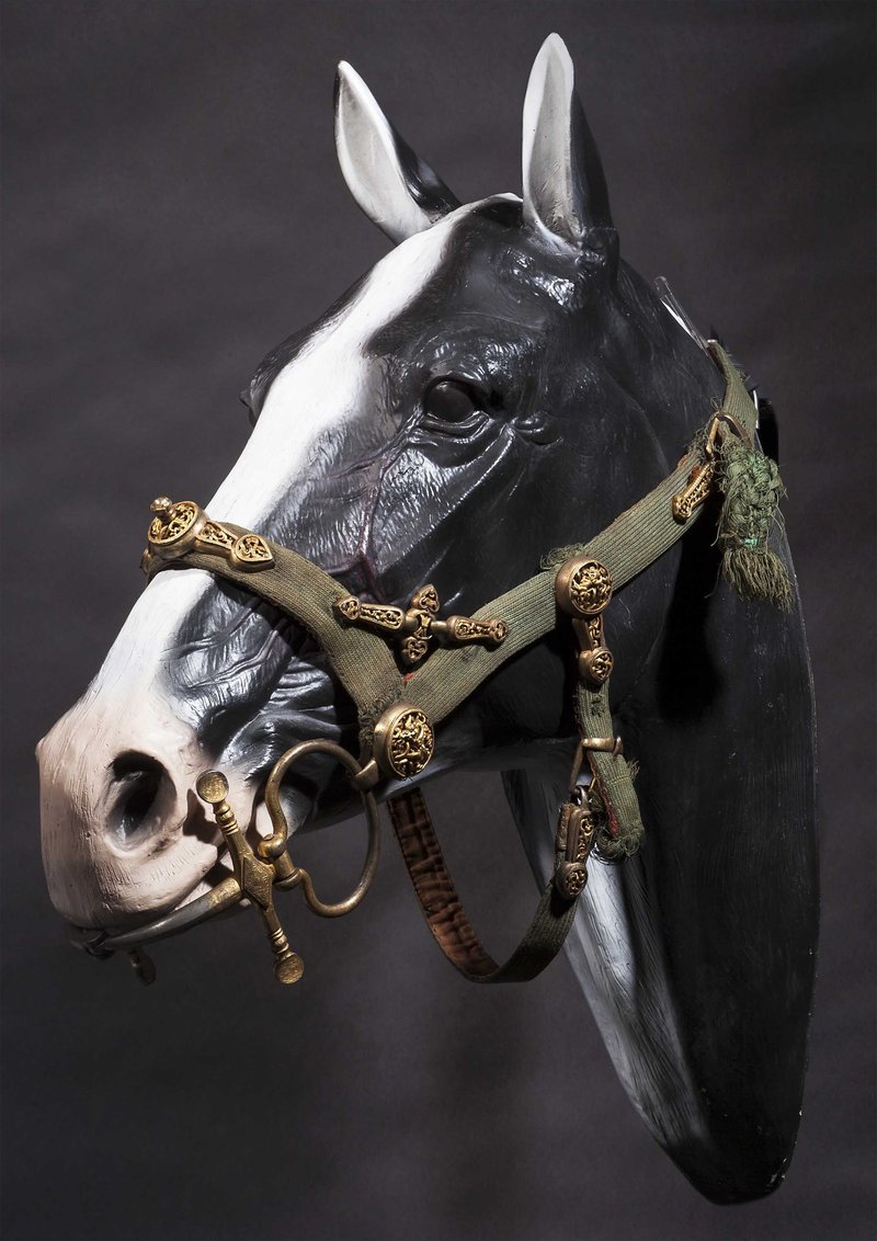 Iron Age Horse Bit And Tack
