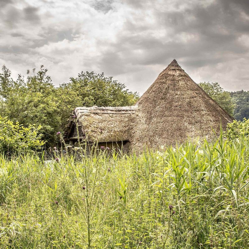 Iron Age Roundhouse Village Layout