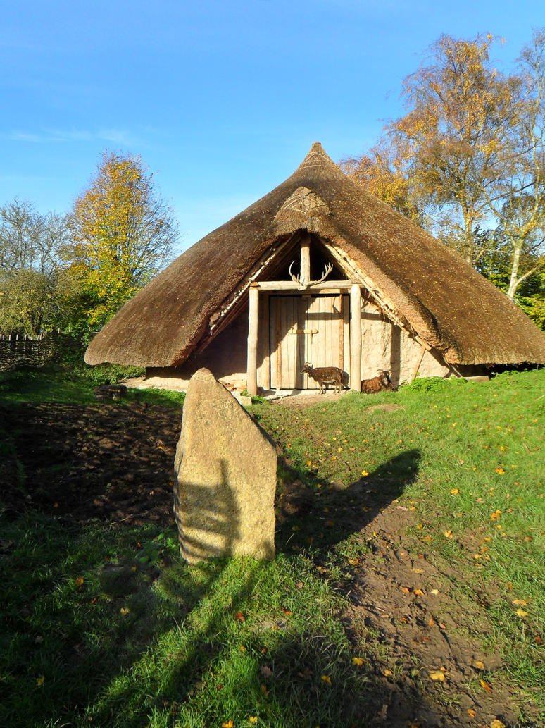 Iron Age Roundhouse Village Layout