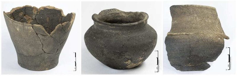 Iron Age Warrior Burial In Germany
