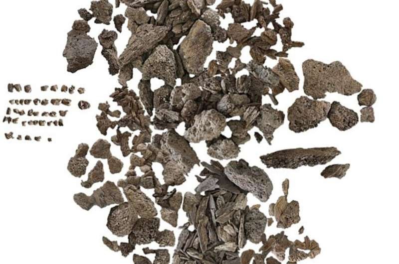 Iron Age Warrior Burial In Germany