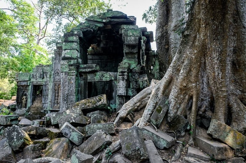 Khmer Temple Ruins At Ta Prohm